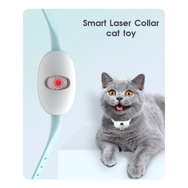 KittyChase laserBuddy